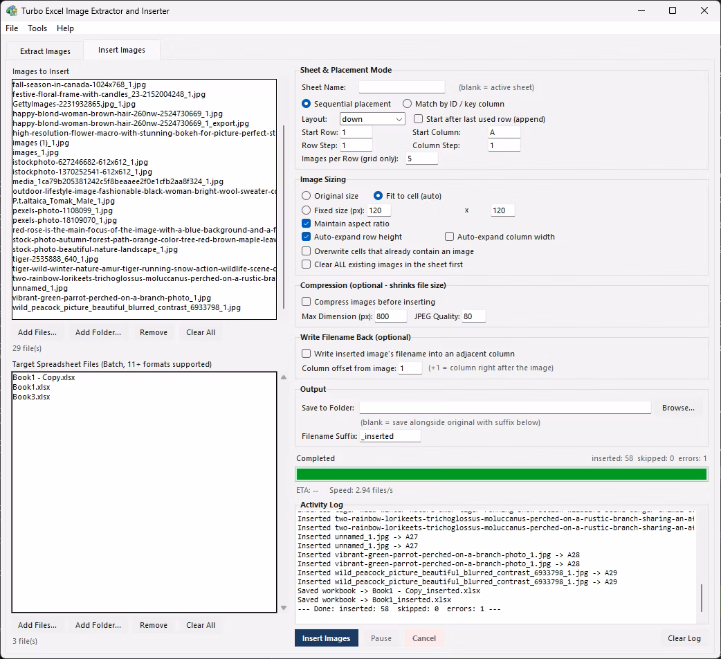 Activity log during a batch run