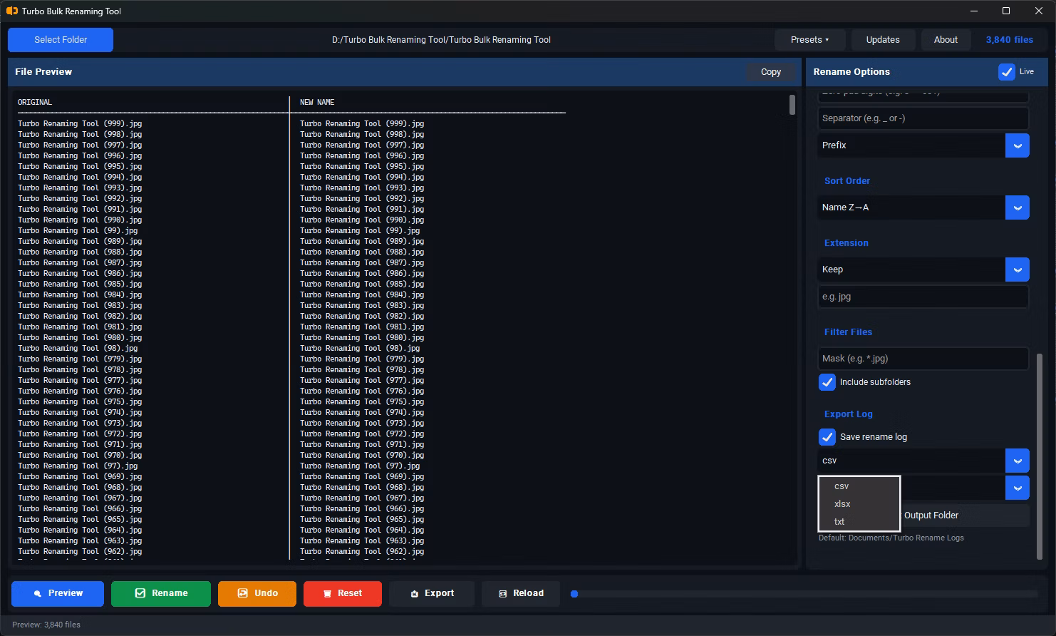 Generate output log — CSV, XLSX, TXT